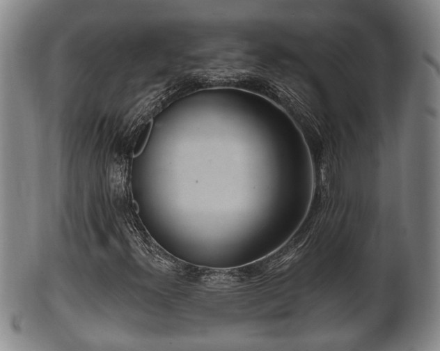 X0000100871300200806271102