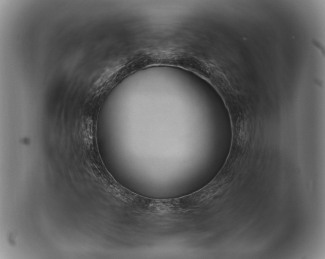 X0000100871301200806271102