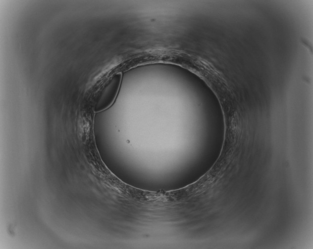 X0000100871302200806271102