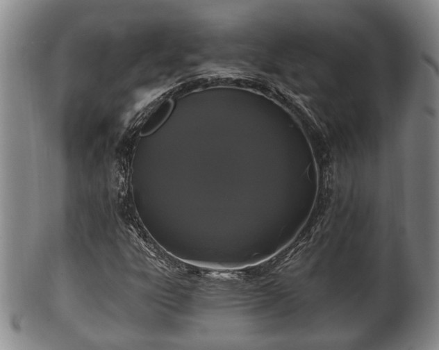 X0000100871303200806271103