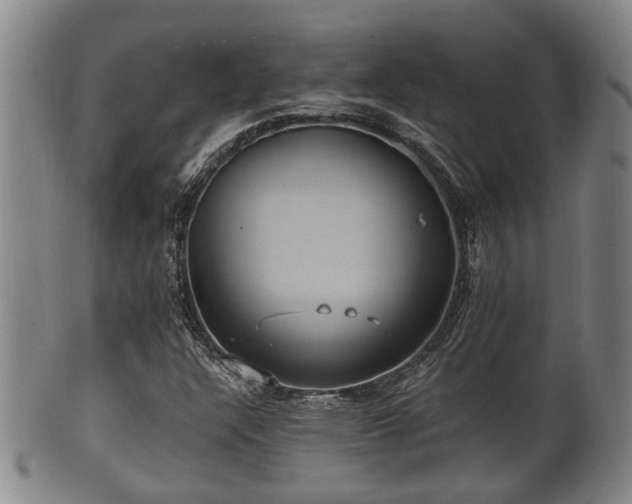 X0000100871304200806271103