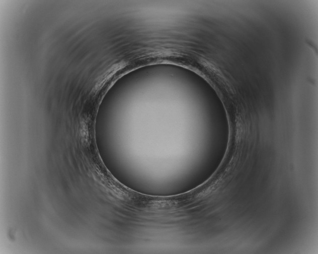 X0000100871305200806271103