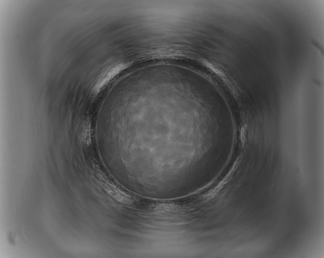 X0000100871306200806271103