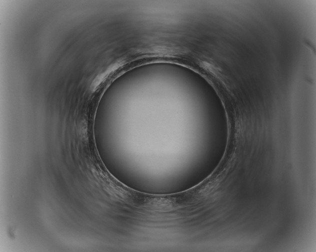 X0000100871307200806271103