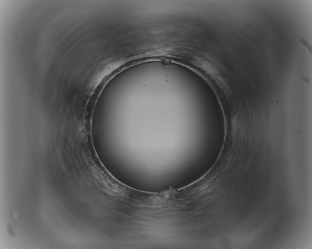 X0000100871308200806271103