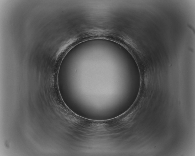 X0000100871309200806271103