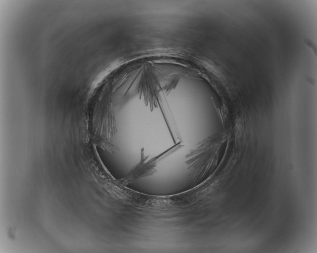 X0000100871310200806271103