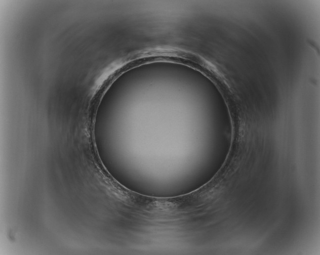 X0000100871312200806271103