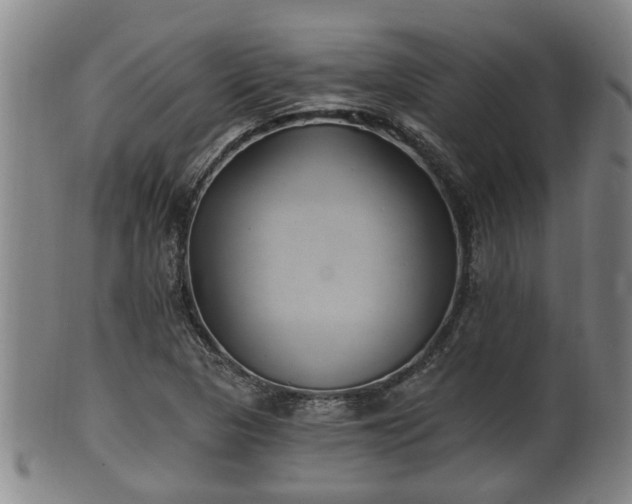 X0000100871313200806271103