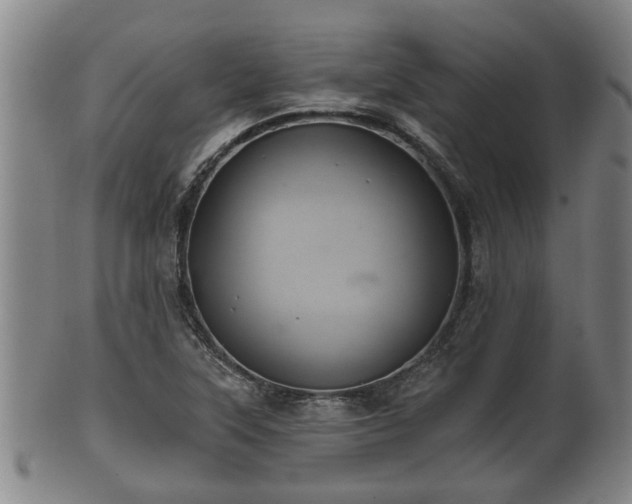 X0000100871315200806271103