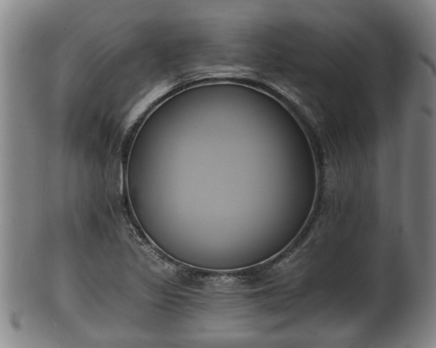 X0000100871317200806271103