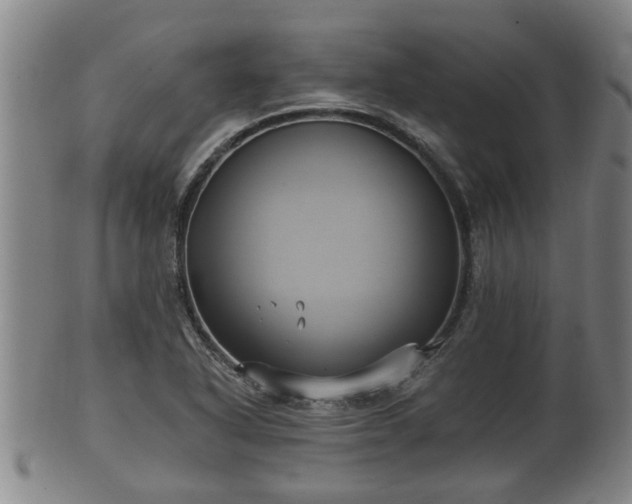 X0000100871318200806271103