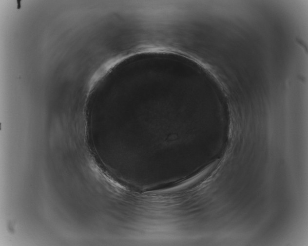 X0000100871319200806271103