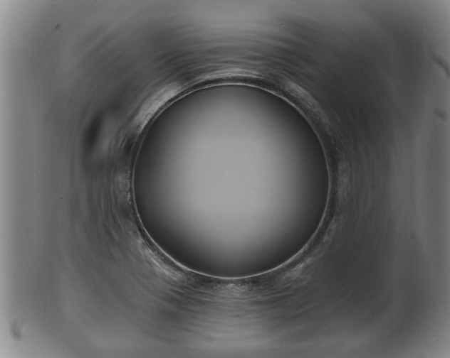 X0000100871321200806271103