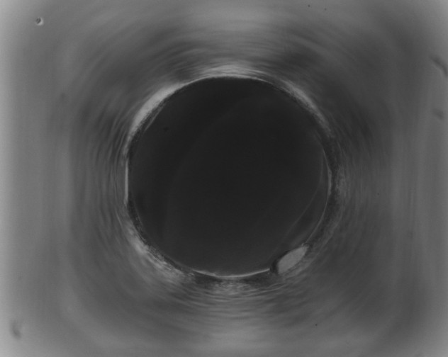 X0000100871323200806271103