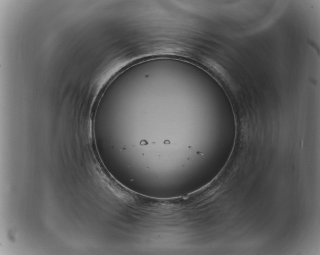 X0000100871324200806271103