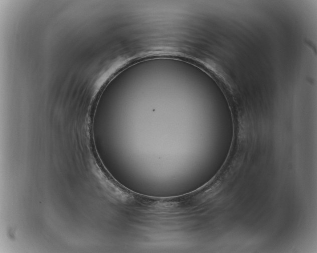 X0000100871325200806271103