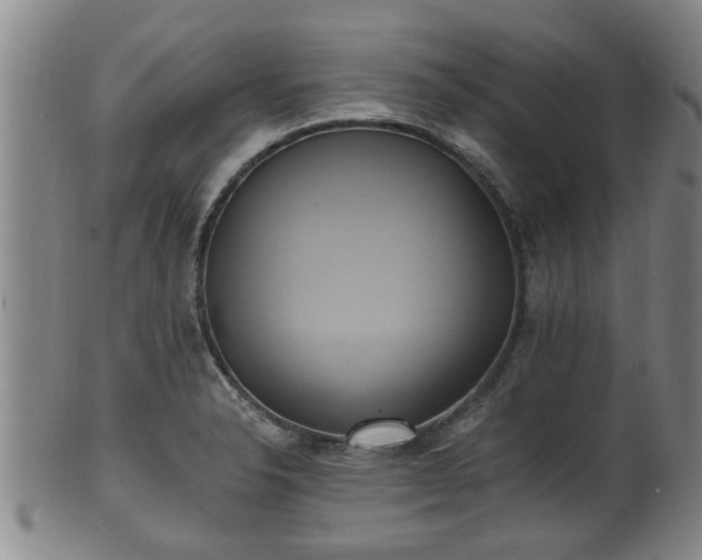 X0000100871326200806271103