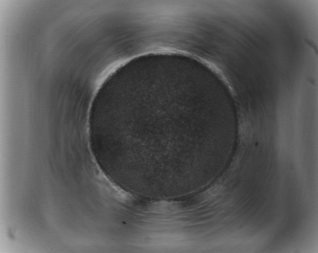 X0000100871327200806271103