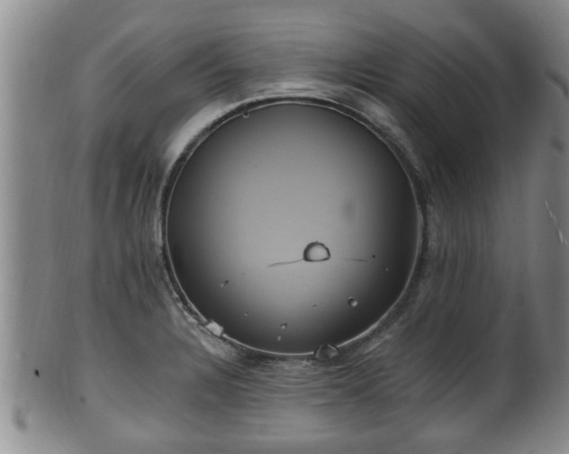 X0000100871328200806271103