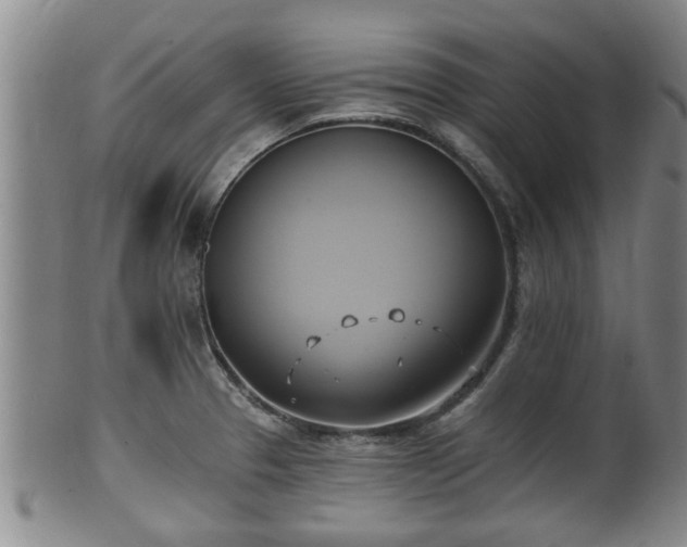 X0000100871329200806271103