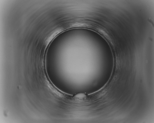 X0000100871330200806271103