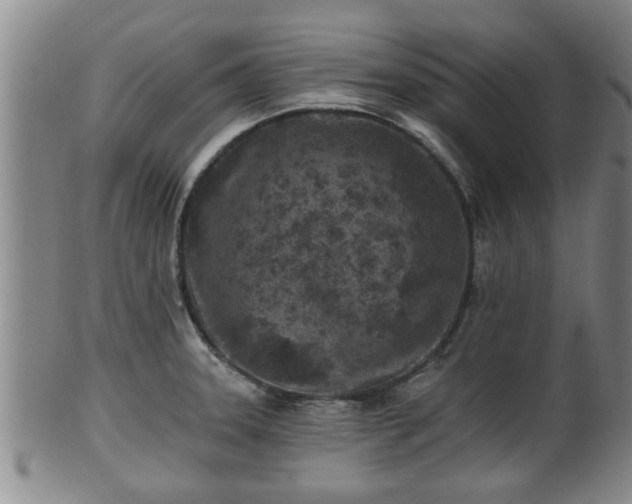 X0000100871331200806271103