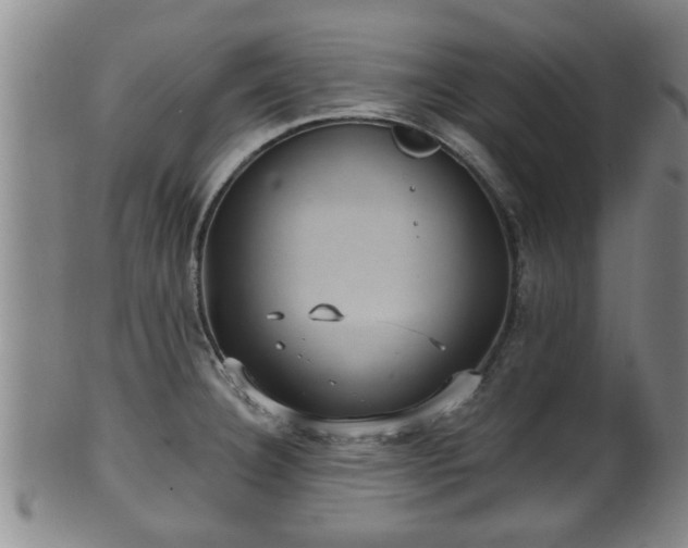 X0000100871332200806271103