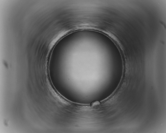 X0000100871333200806271103