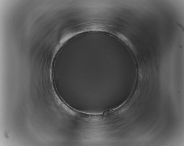 X0000100871334200806271103