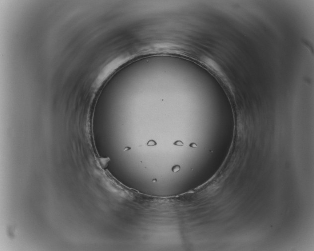 X0000100871336200806271103