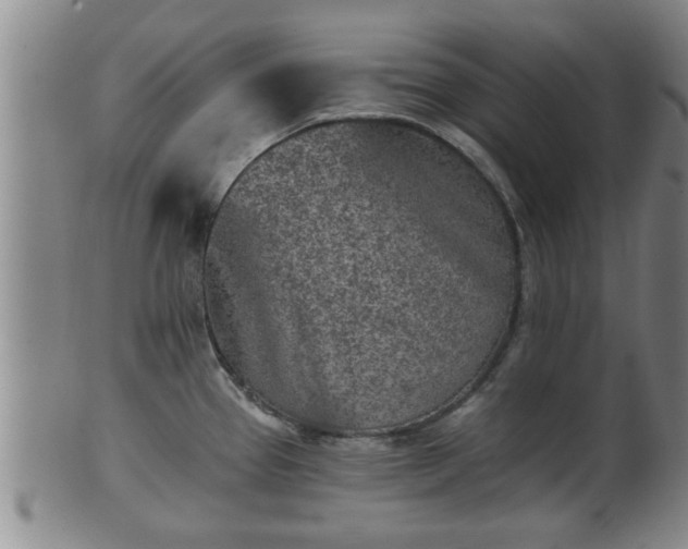 X0000100871337200806271103