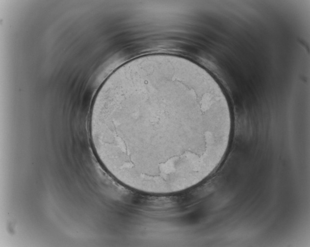 X0000100871338200806271103