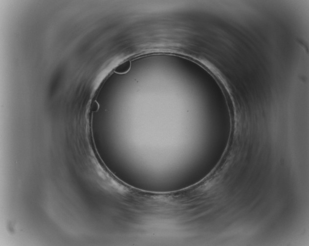 X0000100871341200806271103