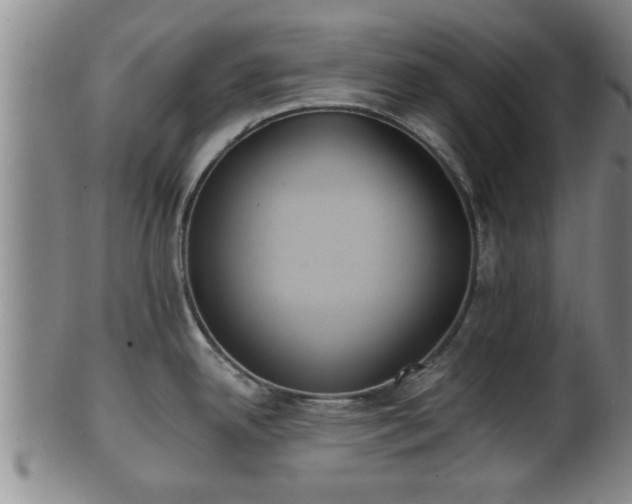 X0000100871342200806271103