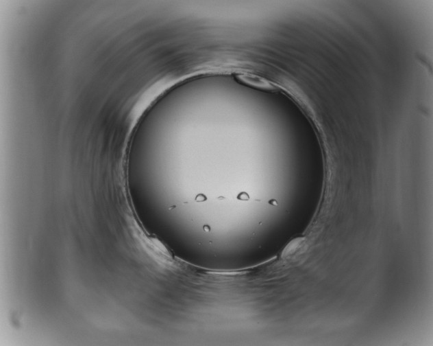 X0000100871344200806271103