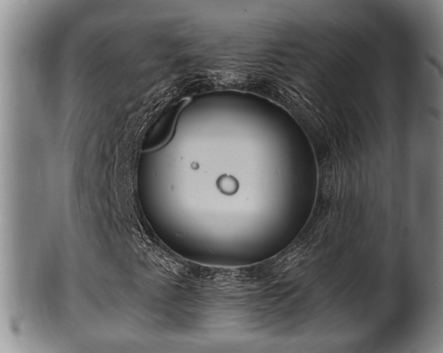 X0000100871345200806271102