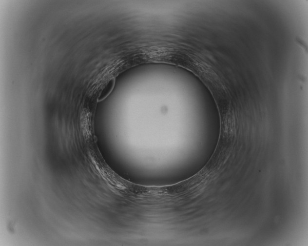 X0000100871346200806271102