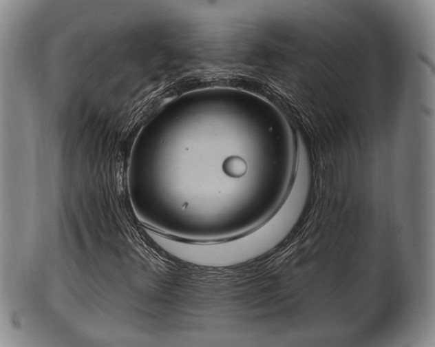 X0000100871348200806271102