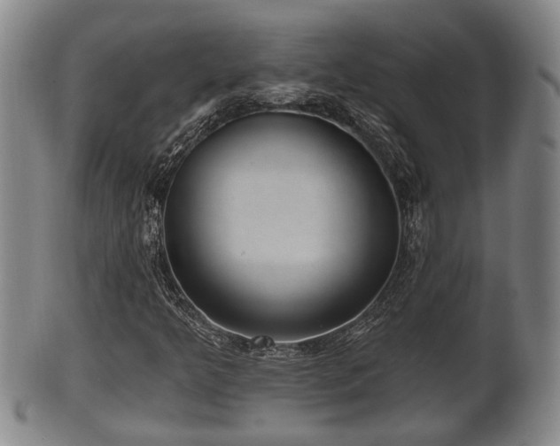 X0000100871349200806271102