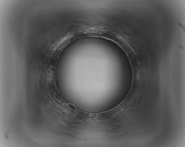 X0000100871350200806271102