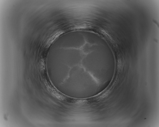 X0000100871353200806271102