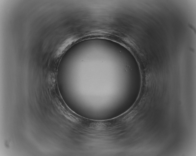 X0000100871355200806271102