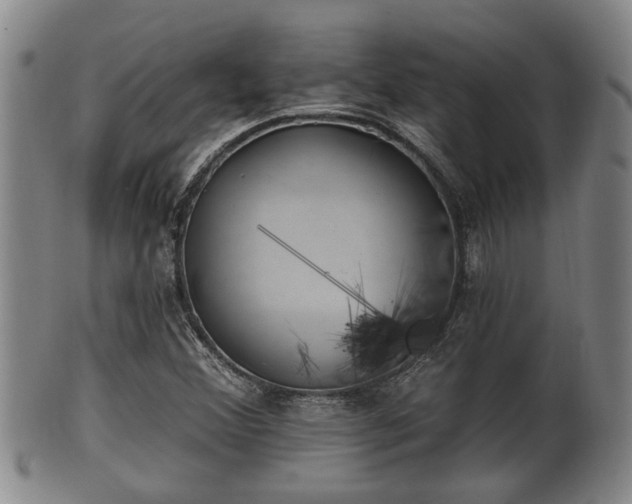 X0000100871356200806271102