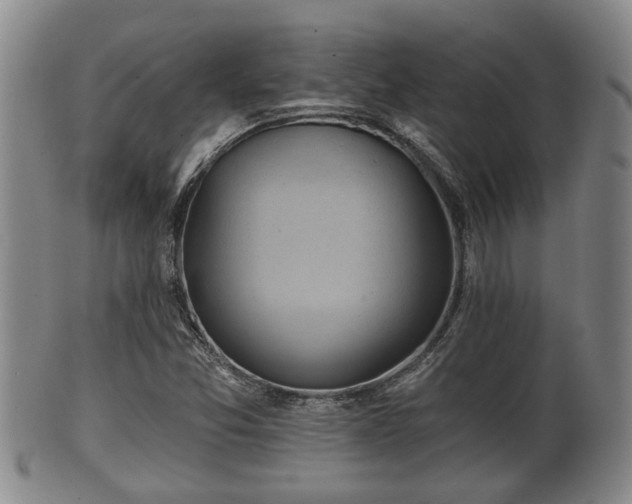 X0000100871357200806271102