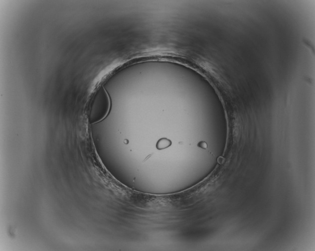 X0000100871358200806271102