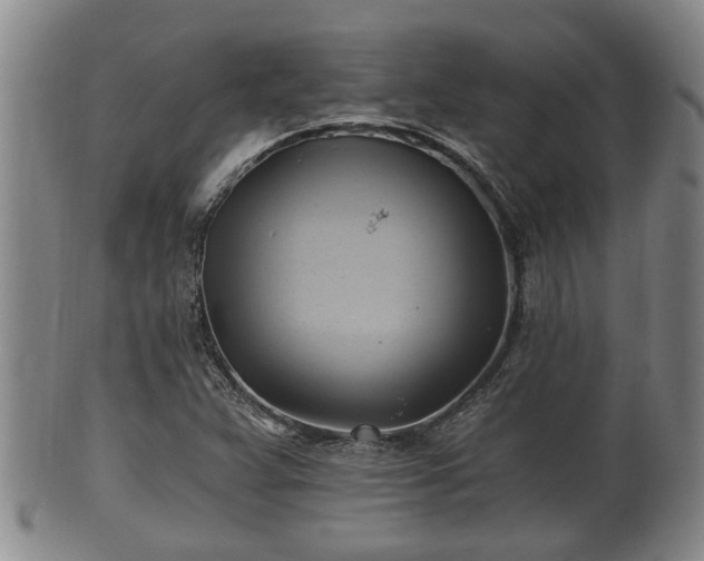 X0000100871359200806271102