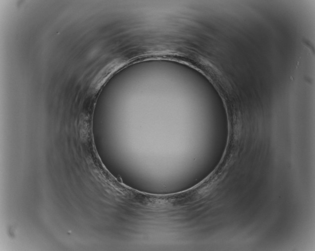 X0000100871361200806271102