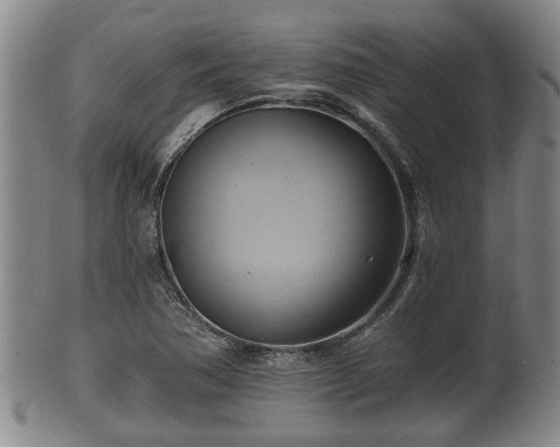 X0000100871362200806271102