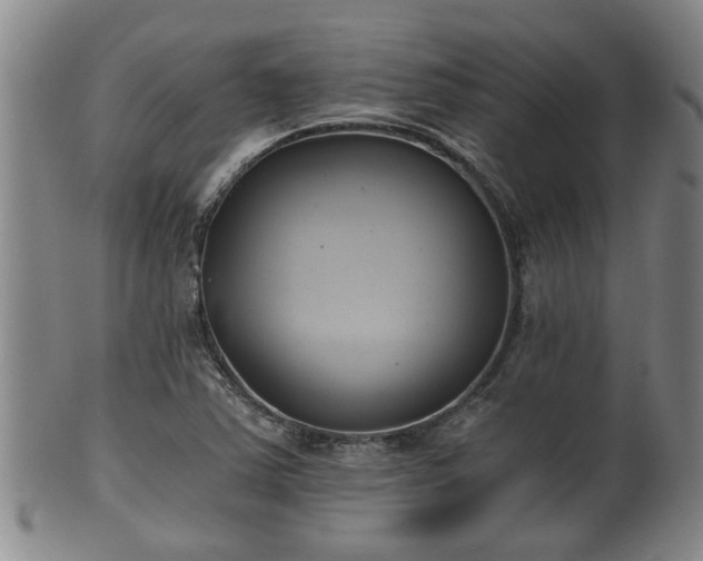 X0000100871363200806271102